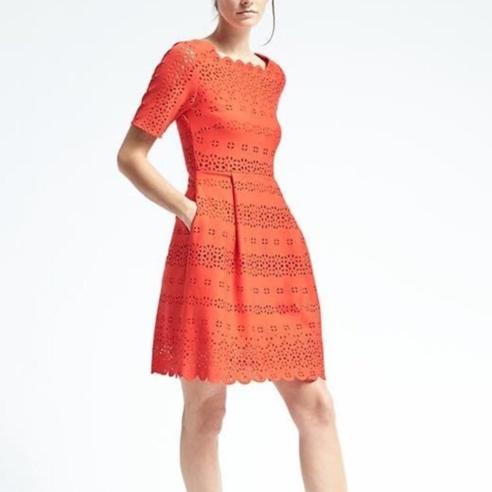 Banana Republic Laser Cut Fit and Flare Dress. 10P
